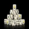 Baron of Dice Flaming Book Resin Dice - Set of 25 (Round) view 1