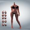 1/6 Scale Female Body,12inch Super Flexible Seamless Female Figure Body Makeup Version with Undetachable Feet Tall and Slender Miniature Action Figure (Copper Suntan Skin) view 2