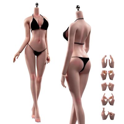 1/6 Scale Female Body,12inch Super Flexible Seamless Female Figure Body Makeup Version with Undetachable Feet Tall and Slender Miniature Action Figure (Suntan Skin)
