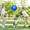 GCQJOQ 6 Pcs Playground Balls for Kids, 9 Inch Inflatable Bouncy Balls with Pump for Kickball, Dodgeballs, Indoor Outdoor Play Balls view 2