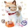 OR OR TU Walking Talking Toy Cat with Remote Control Leash, Plush Pet Electronic Interactive Toys for Kids, Wag Tail, Singing, Pretend Dress Up Realistic Stuffed Cat Age 3 4 5+ Years Old Best Gift view 1