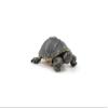 Papo - Foam Shield, Multicoloured (50309) view 3