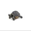 Papo - Foam Shield, Multicoloured (50309) view 4