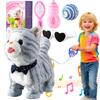 Gray Leash Walking Cat Set Toy Interactive Talking Cat Singing Dancing Kitten Mimicking Repeat What You Say Kitty Touch and Voice Control Nodding Wagging Tail Plush Electric Robot for Kid Girl view 1