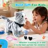 Gray Leash Walking Cat Set Toy Interactive Talking Cat Singing Dancing Kitten Mimicking Repeat What You Say Kitty Touch and Voice Control Nodding Wagging Tail Plush Electric Robot for Kid Girl view 4