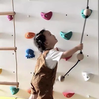 5-Pack Rock Climbing Holds for Kids Playground, Professional Rock Climbing Hand Hold, Indoor Outdoor DIY Climbing Wall Grip, Random Color Style(Size:5pcs-Solid Wall Installation)