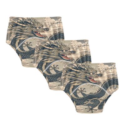 Vintage Style Dragon Cotton Potty Training Underwear Pants for Toddler Girls Boys, 2t, 3t, 4t, 5t
