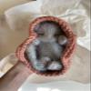 Fluffy Sleeping Kitten Grey toy. Realistic Newborn Cat in the coral basket | crib. Crochet Handmade Gift for Toddlers. view 3