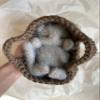 Fluffy Sleeping Kitten Grey toy. Realistic Newborn Cat in the brown basket | crib. Crochet Handmade Gift for Toddlers. view 3