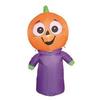 212 Main Four Season Halloween Kid Inflatable view 1