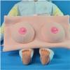2in1 Women Breast Model and Infant Care Model Set Breastfeeding Educational Tool for Lactation Teaching Nursing Trainning view 3