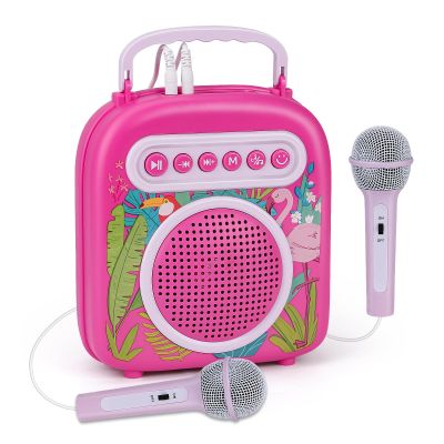 Karaoke Machine with 2 Microphones Karaoke Toys for Girls Age 6-8 Karaoke Machine for Kids 3-5 Pink Birthday Gift Toys for 4-10 Bluetooth Karaoke Speaker System