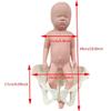 BYLAKO Pregnant Woman Pelvic Delivery Model with Baby and Pelvis-Pubic Symphysis,PVC Childbirth Simulator,Study Display Teaching Model,Movable Sacroiliac Joints,Female view 2