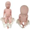 BYLAKO Pregnant Woman Pelvic Delivery Model with Baby and Pelvis-Pubic Symphysis,PVC Childbirth Simulator,Study Display Teaching Model,Movable Sacroiliac Joints,Female view 3