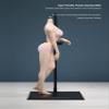 1/6 Scale Female Body, 12inch Super Flexible Asian Body Type Action Figure JIAOUDOLL Seamless Narrow Shoulders Figure Body Doll Collection (Pink Skin, JOQ-10D-Big Bust-Detachable Feet) view 2