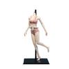 1/6 Scale Female Body, 12inch Super Flexible Asian Body Type Action Figure JIAOUDOLL Seamless Narrow Shoulders Figure Body Doll Collection (New Pale Skin, JOQ-06C-Middle Bust-Undetachable Feet) view 1