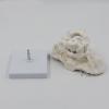 1.5X Occipital Bone with Base Doctor Office Anatomy Classroom Study Aid for Anatomy Class Includes Detailed Spine Models for Chiropractors view 4