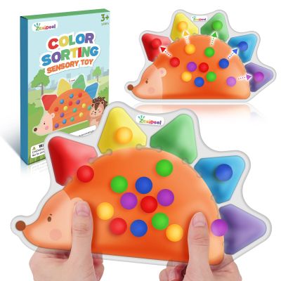 Color Sorting Sensory Toys for Toddlers : Fine Motor Skill Games Learning Toy for Toddlers, Color Matching Preschool Activities Educational Calm Down Montessori Toys for Kids Boy Girl Gifts Ages 3+