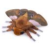 Frankiezhou Home Ginkgo Moth Plush Toy, Lifelike Ginkgo Moth Stuffed Animals 11in, Realistic Soft Big Moth Plushie Model Toy, Unique Plush Gift Collection for Kids, Small, Brown view 1