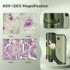60x-120x Mini Pocket Microscope for Kids Adults, Portable Handheld Microscope with Microscope Slides, Miniscope Portable Microscope for Kids Little Scientist Students School Minilabsters Education view 2