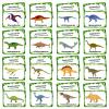 37PCS Dinosaur Cognitive Cards, Cartoon Dinosaurs Flash Cards,Portable Waterproof Jurassic Dinosaur Learning Flashcards view 2