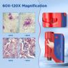 60x-120x Mini Pocket Microscope for Kids Adults, Portable Handheld Microscope with Microscope Slides, Miniscope Portable Microscope for Kids Little Scientist Students School Minilabsters Education view 2