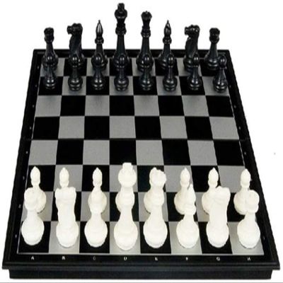 FGDIUCVN Classic Chess Set Chess Set Checkers Portable with Folding Magnetic Board Family Activity Games Entertainment Gifts Black and White Travel International Chess Board Games Set