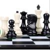 FGDIUCVN Travel Chess Set Chess & Checkers Set,Folding Leather Standard Chess Game Set,Gift for International Chess Lovers/Beginner and Learners for Kids and Adults view 2