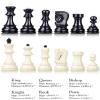 FGDIUCVN Travel Chess Set Chess & Checkers Set,Folding Leather Standard Chess Game Set,Gift for International Chess Lovers/Beginner and Learners for Kids and Adults view 4