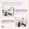 KRIDDO 2-in-1 Toddler Tricycle for Ages 18 Months to 5 Years Old - Extended Push Handle for Effortless Push, Gift Trike for Toddler 3 to 5 Year, Kids Tricycle with Foldable Front Footrest, Purple view 2