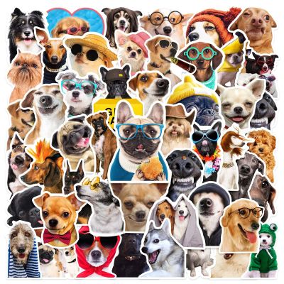 50 PCS Funny Dog Stickers Cute Animal Vinyl Decals for Journaling, Laptop, Scrapbook, Water Bottle, Guitar, Suitcase, Phone, Snowboard Waterproof Gift for Women, Girls, Kids, Adults, Teens