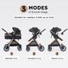 Accombe 2 in 1 Baby Stroller, Convertible Bassinet Pushchair for Infants and Newborns 0-36 Months view 2