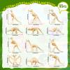 HFKPJRT 65 Pcs Dinosaur Bones for Sandbox, Mini Dinosaurs Bones for Kids, Mini Dinosaur Skeleton Figures for Science Play, Dino Fossil Toys for Dino Sand Dig, Party Favor, Cake Topper Decoration view 2