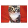 Puzzle Personalized Photo Puzzle 1000/500/300 Pieces Cat Pet Puzzle Wooden Jigsaw Puzzles from Photos Wedding Puzzle Family Reunion Puzzle for Wedding Gift view 3