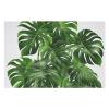 1000 PCS Jigsaw Puzzle for Adults Personalized Picture Puzzle Monstera Deliciosa Banana Palm Customized Wooden Puzzle for Family, Birthday, Wedding, Game Nights Gifts, 20.4"x15" view 3