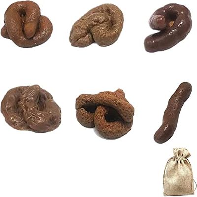 6 Pieces Realistic Fake Poop Fake Poop Novelty Floating Fake Toy for April Fool's Day, 6 Different Shapes