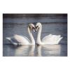 1000 PCS Jigsaw Puzzle for Adults Personalized Picture Puzzle Romantic White Swan Customized Wooden Puzzle for Family, Birthday, Wedding, Game Nights Gifts, 20.4"x15" view 3