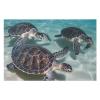 1000 PCS Jigsaw Puzzle for Adults Personalized Picture Puzzle Sea Turtles Customized Wooden Puzzle for Family, Birthday, Wedding, Game Nights Gifts, 20.4"x15" view 3
