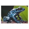 1000 PCS Jigsaw Puzzle for Adults Personalized Picture Puzzle Dart Frog Blue Customized Wooden Puzzle for Family, Birthday, Wedding, Game Nights Gifts, 20.4"x15" view 3