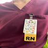 Generic Busy Badge- Distraction Badge Buddy for Pediatric Healthcare Providers (Animal Search) view 1
