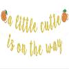 A Little Cutie is on the Way Banner, Little Cutie Baby Shower, Orange Theme First Birthday/Anniversary Party Decorations Supplies, Gold Glitter view 1