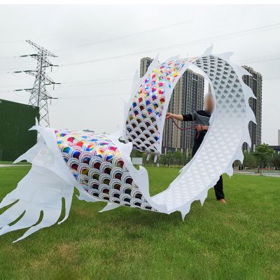 CMYUN Dragon Poi Outdoor Dance Dragon Ribbon Set, 6/8/10m Long 3D Dragon Poi Art Streamer, Portable Flag Twirler for Adults Seniors, Park Fitness Streamer(Multi-Colored,Length - 10m/33ft)