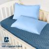 Atiksh Beddings Pack of 2 Toddler Travel Pillow Cases 100% Soft Egyptian Cotton, 600 Thread Count with Zipper Closure for Small Travel Pillowcase 12x16 inch, Light Blue view 2