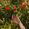 3D Printed Lovebird - Articulated Fidget Figurine (Lilian's Lovebird, Small) view 4