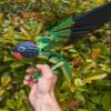 3D Printed Lovebird - Articulated Fidget Figurine (Black Cheeked Lovebird, Small) view 3