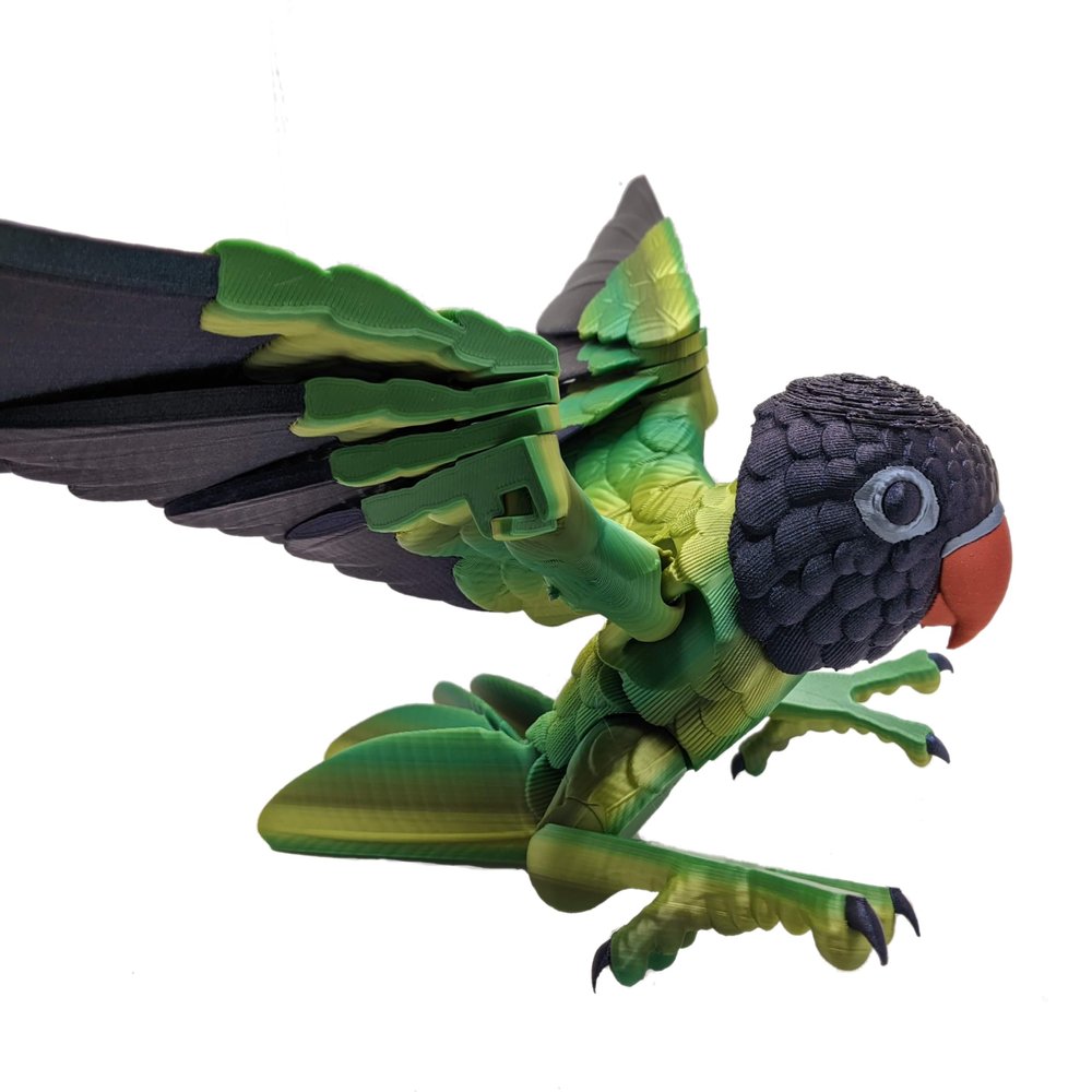 3D Printed Lovebird - Articulated Fidget Figurine (Black Cheeked Lovebird, Large)