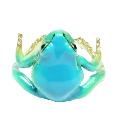 - Ear Cuff Earrings, Resin Open Rings, Tree Frog Ear Cuffs Made of Resin - Adjustable, Fun, Cute Animal Finger Ring for Kids, Girls, Siehe Beschreibung, Metal, see description