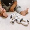 Burt's Bees Baby Unisex Infant Rattle Toy, Nursery Sensory Animal Plush Made with 100% Organic Cotton Shell and Polyester Fill, Sweet Bear, Bunny, or Dog Stuffed Animals for Babies view 3
