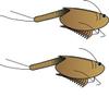 Prehistoric Sea Monsters Growing Triops Kit view 4