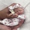MYREBABY 7 Inch Reborn Baby Doll  Silicone Doll Girl Betty, Mini Realistic Newborn Baby Dolls Silicone Full Body with Feeding Accessories view 1